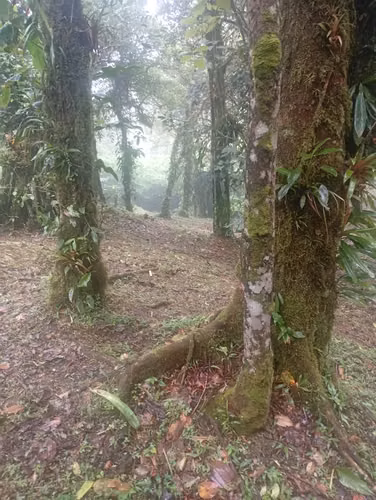 Se vende Terreno en Altos del María – Navarra | 2,670 m² - Imagen 4