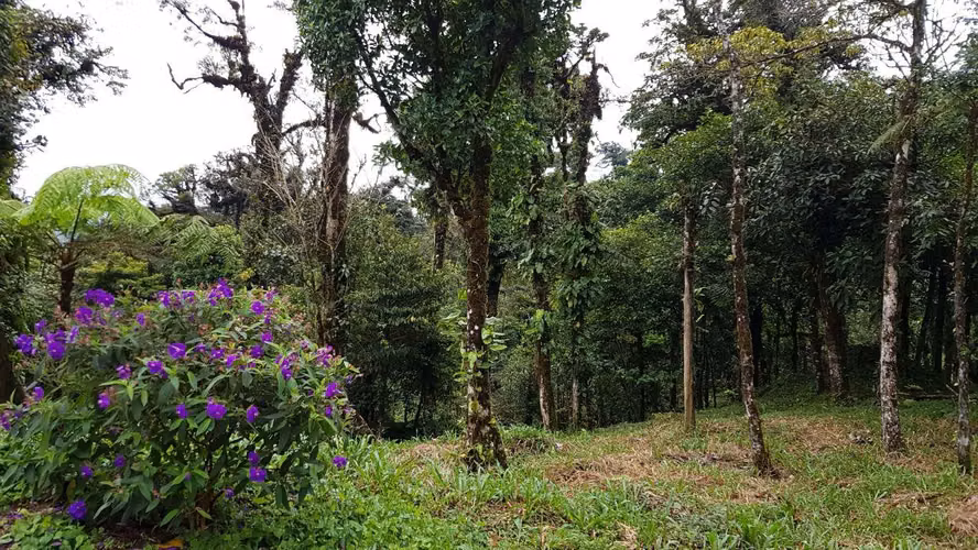 Se vende Terreno en Altos del María – Navarra | 2,670 m² - Imagen 2