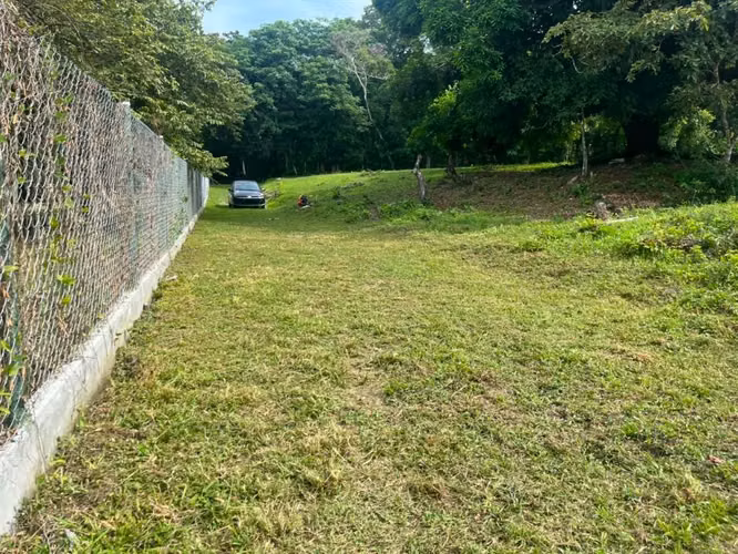 terrenos en el Espino de San Carlos - La Gloria