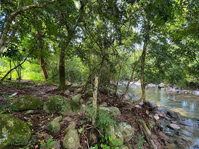 terrenos en el Espino de San Carlos - La Gloria - Imagen 10