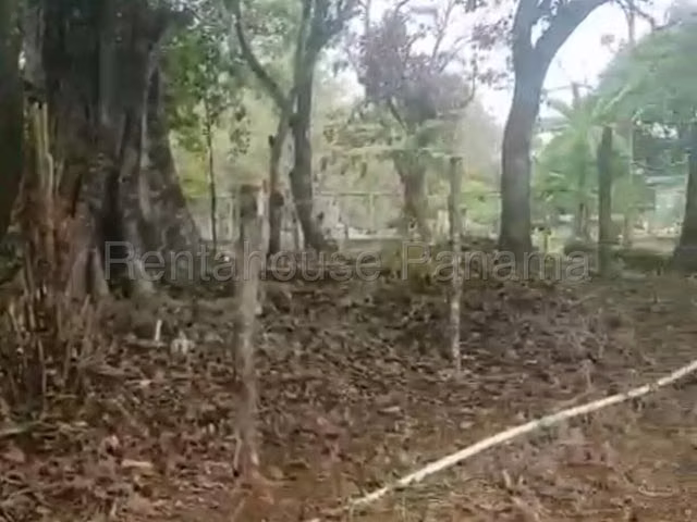 Vendo Lote campestre en San Juan, Veraguas.