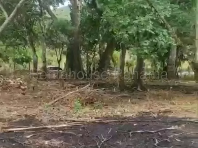 Vendo Lote campestre en San Juan, Veraguas.