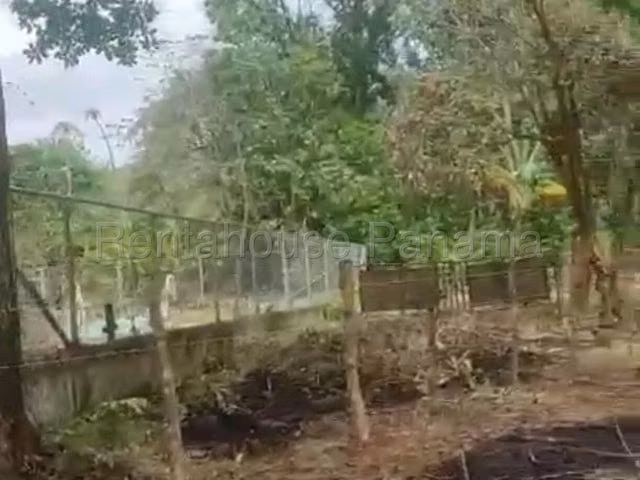 Vendo Lote campestre en San Juan, Veraguas.