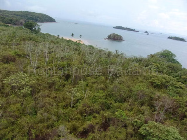Terreno en Venta en Isla de San Miguel Balboa CIG272001 - Imagen 15