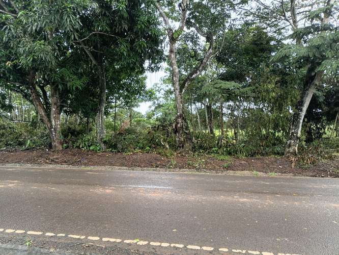Vendo lote en sanguenga chorrera - Imagen 2