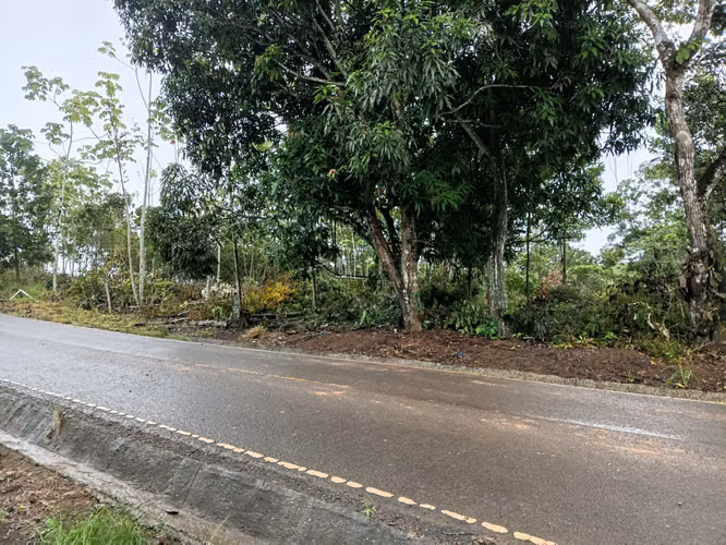 Vendo lote en sanguenga chorrera