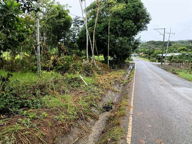 Vendo lote en sanguenga chorrera - Imagen 4