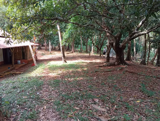 Propiedad Frente al Mar en Venta en Isla Gobernadora, Veraguas, Panamá - Imagen 5