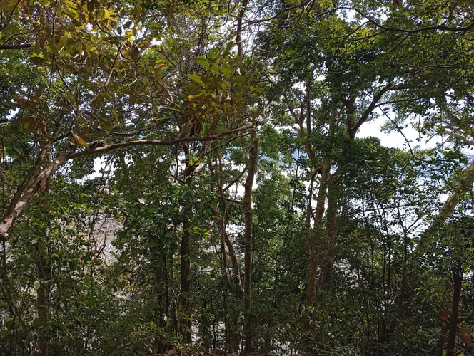 Propiedad Frente al Mar en Venta en Isla Gobernadora, Veraguas, Panamá - Imagen 7