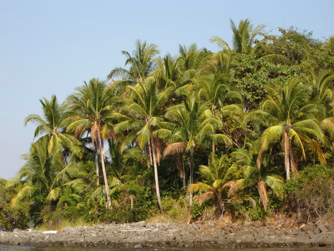 Isla Privada en Venta – Isla Quirós, Archipiélago de Las Perlas, Panamá - Imagen 10