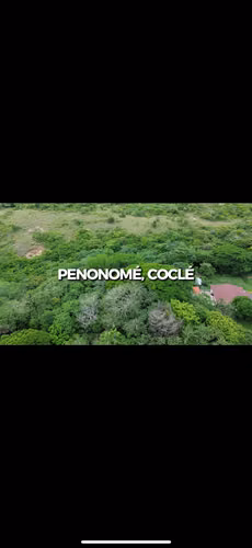 TERRENO PENONOME IDEAL PARA INVERSION