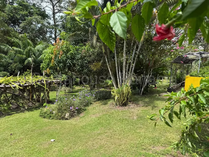 VENTA DE CASA EN CHORRERA DDB26-7500