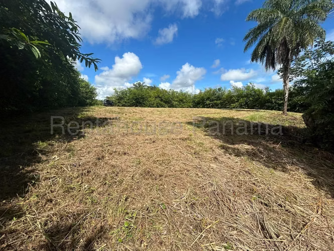 Terreno En Venta En Pedasí YS