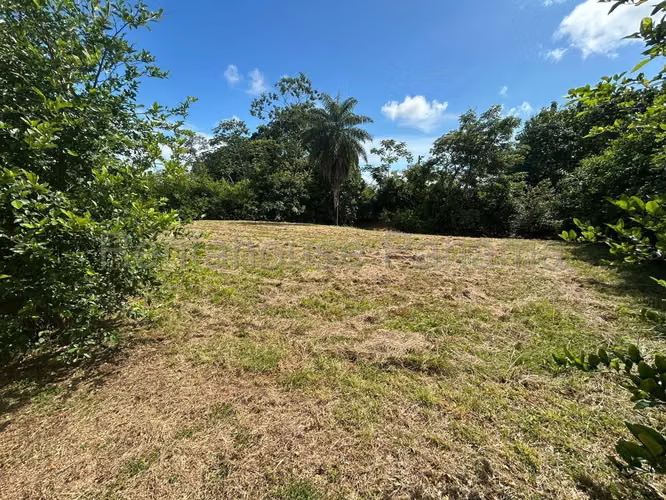 Terreno En Venta En Pedasí YS