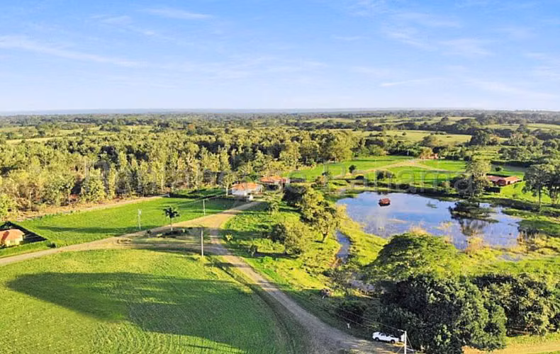 Terreno En Venta En Pedasí YS