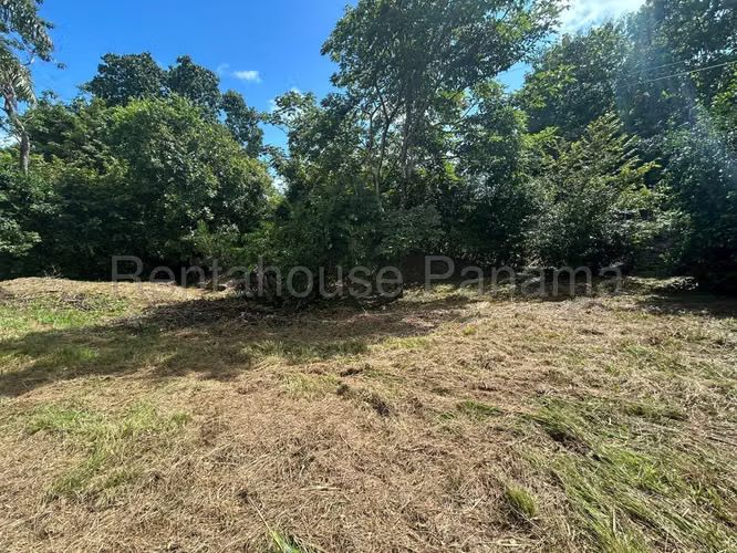 Terreno En Venta En Pedasí YS