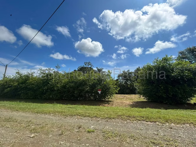 Terreno En Venta En Pedasí YS
