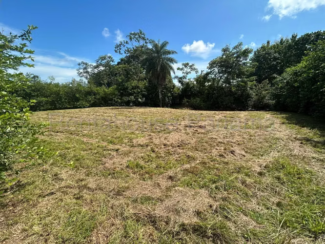 Terreno En Venta En Pedasí YS