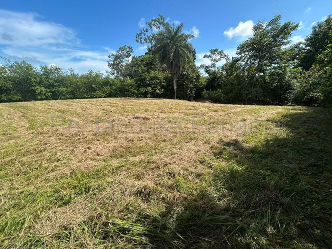 Terreno En Venta En Pedasí YS