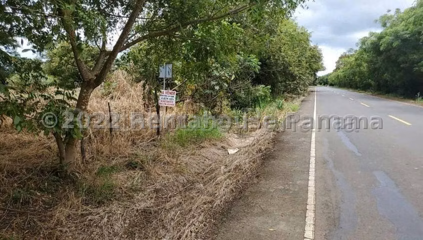 Terreno En Venta En Las Tablas YS