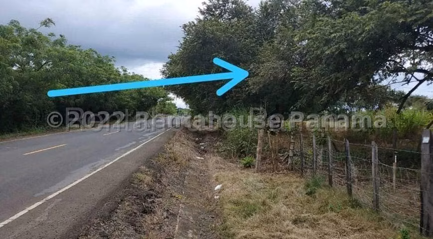 Terreno En Venta En Las Tablas YS