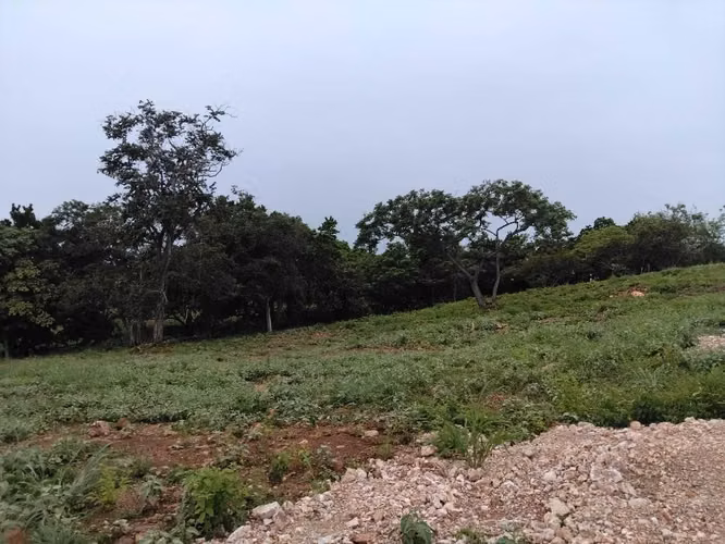 Se Venden terrenos en el Cortezo de Natá y el vLle de Guzmán