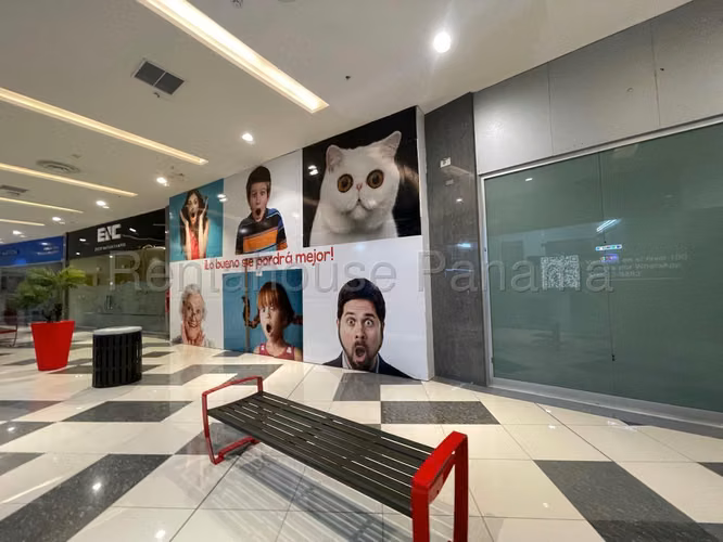 Rental of Commercial Premises in El Dorado, (Direct Client Only).