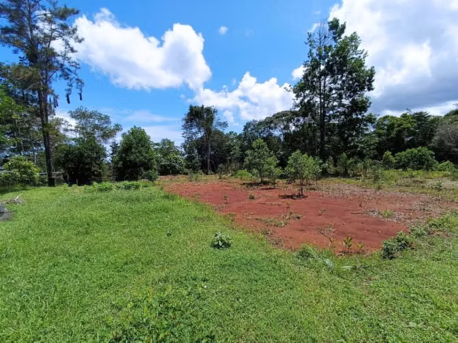 VENTA TERRENO COLÓN FRENTE A CARRETERA ECOLÓGICA - Imagen 6