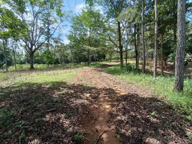 VENTA TERRENO COLÓN FRENTE A CARRETERA ECOLÓGICA - Imagen 9