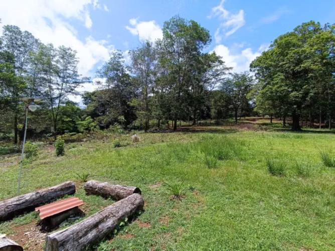 VENTA TERRENO COLÓN FRENTE A CARRETERA ECOLÓGICA - Imagen 7