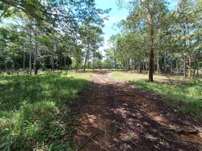 VENTA TERRENO COLÓN FRENTE A CARRETERA ECOLÓGICA - Imagen 11