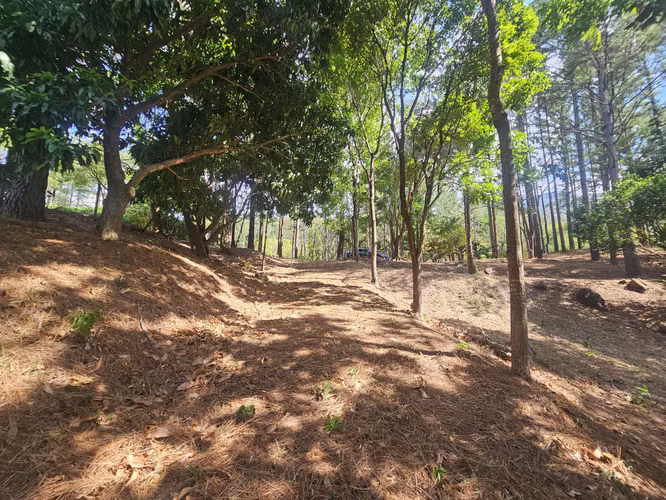 Terreno en Venta en Altos del María 129,000 - Imagen 14