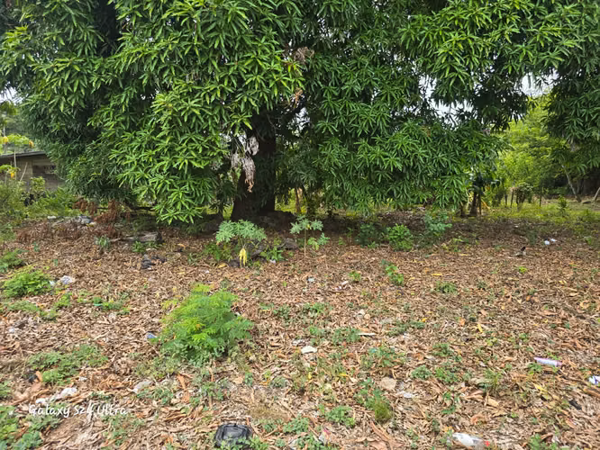 VENTA DE CASA EN AGUADULCE