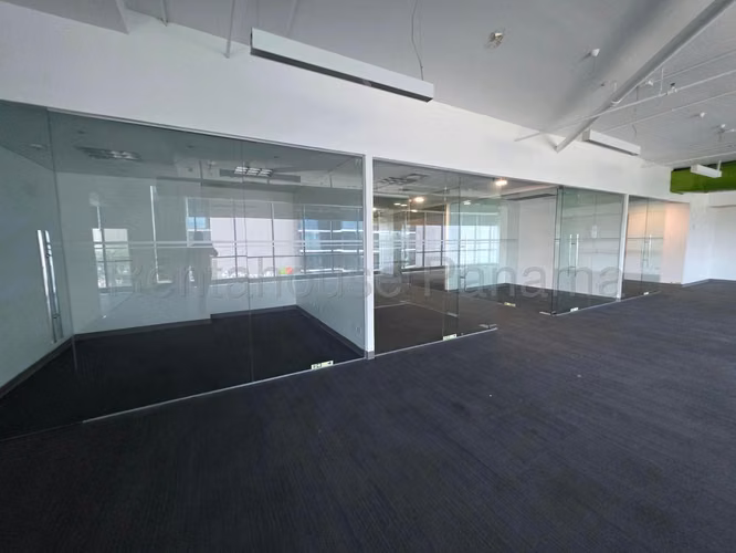 Exclusiva Oficina Corporativa en PH GMT Costa del Este | 1480 m² | 35 Parkings | Av. La Rotonda - Imagen 13
