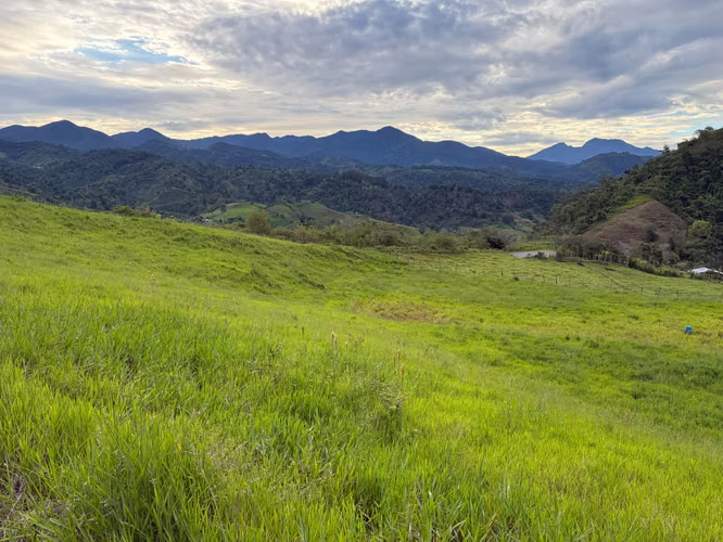 GANGA!! SE VENDE 1 HECTAREA O LOTES A 30 MINUTOS DE VOLCÁN