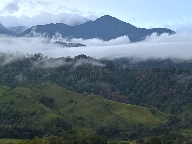 GANGA!! SE VENDE 1 HECTAREA O LOTES A 30 MINUTOS DE VOLCÁN