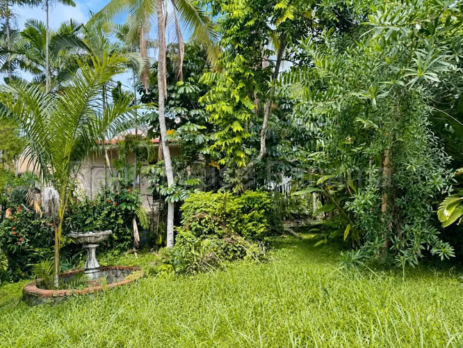 Venta de Casa en Altos del Golf Solo Cliente Directo MC - Imagen 13