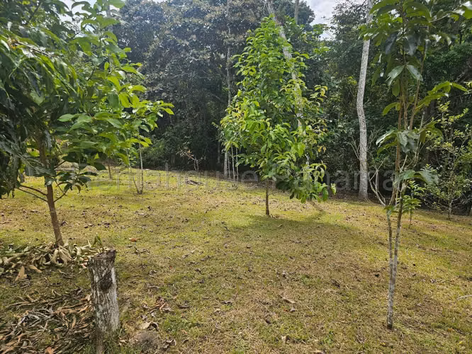 VENTA DE CASA EN CAPIRA ABS - Imagen 11