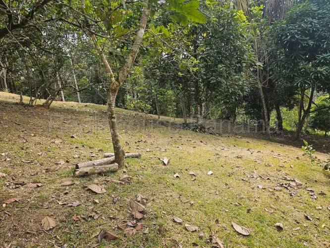 VENTA DE CASA EN CAPIRA ABS - Imagen 14