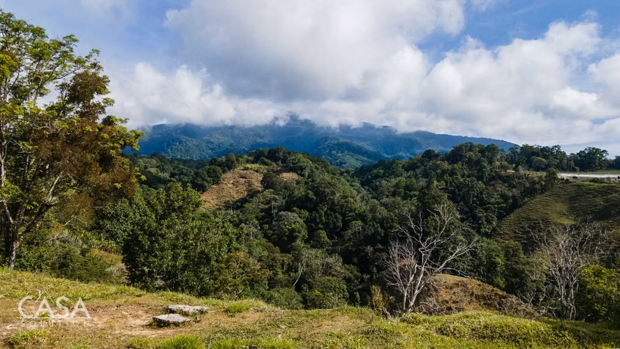 Finca de Café en Venta en Potrerillos Arriba, Chiriquí, Panamá – 18.69 Ha