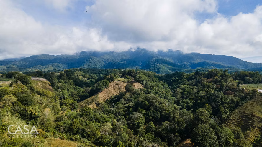 Finca de Café en Venta en Potrerillos Arriba, Chiriquí, Panamá – 18.69 Ha