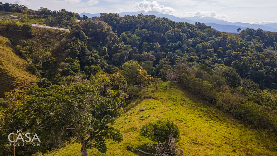 Finca de Café en Venta en Potrerillos Arriba, Chiriquí, Panamá – 18.69 Ha