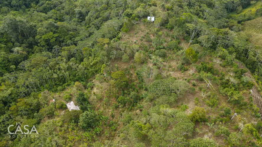 Finca de Café en Venta en Potrerillos Arriba, Chiriquí, Panamá – 18.69 Ha