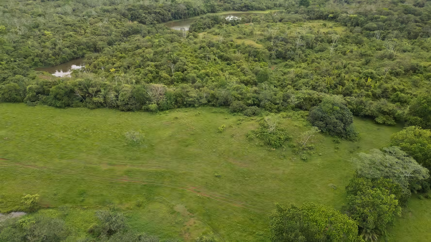 51 HECTÁREAS DE TERRENO! $3,571,715 - Imagen 11