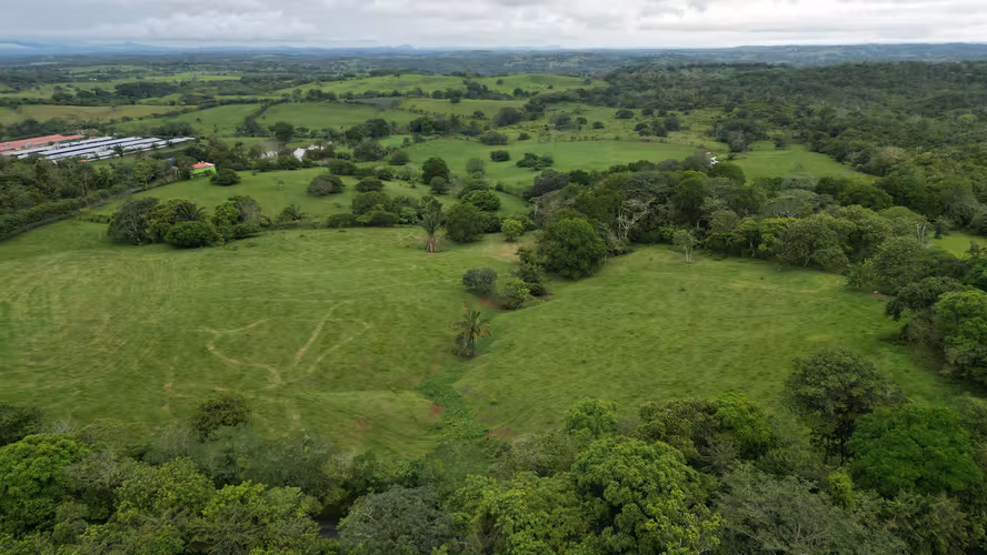 51 HECTÁREAS DE TERRENO! $3,571,715 - Imagen 15
