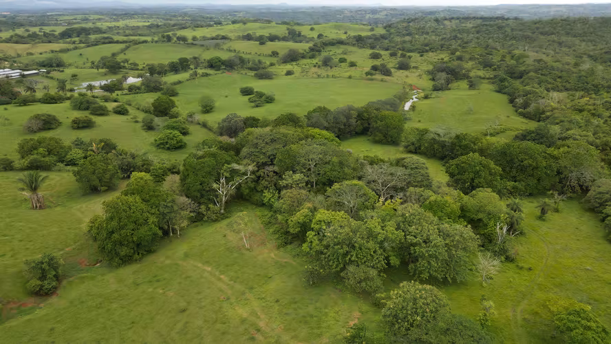 51 HECTÁREAS DE TERRENO! $3,571,715 - Imagen 2