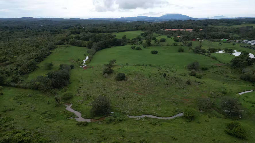 51 HECTÁREAS DE TERRENO! $3,571,715 - Imagen 9