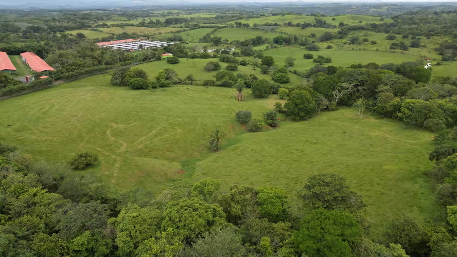 51 HECTÁREAS DE TERRENO! $3,571,715 - Imagen 3