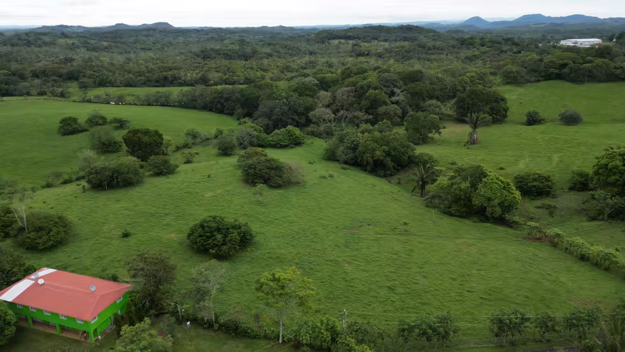 51 HECTÁREAS DE TERRENO! $3,571,715 - Imagen 7