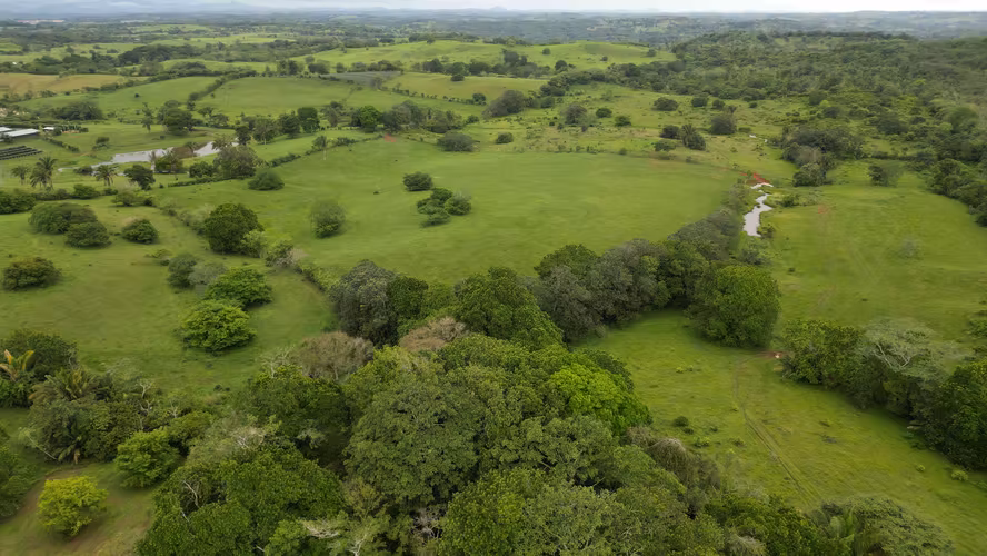 51 HECTÁREAS DE TERRENO! $3,571,715 - Imagen 14